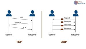 TCP and UDP Transport Protocols 