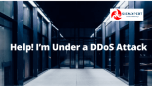 What is DDoS Attack?