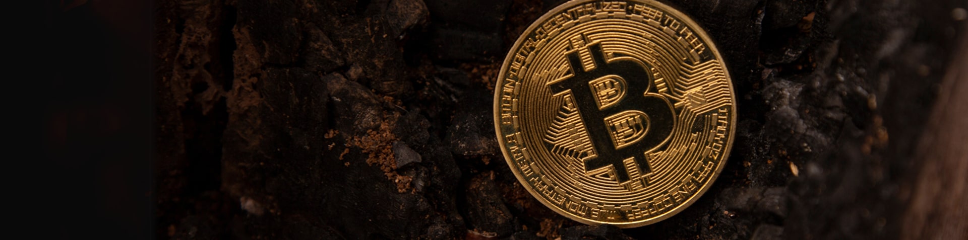 Earn Cybersecurity Coins - Unlock CyberCoins for Your Growth!